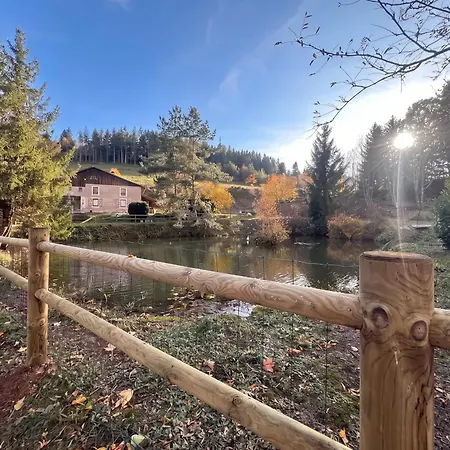 Confortable A 55 M² Avec Sauna Gerbépal